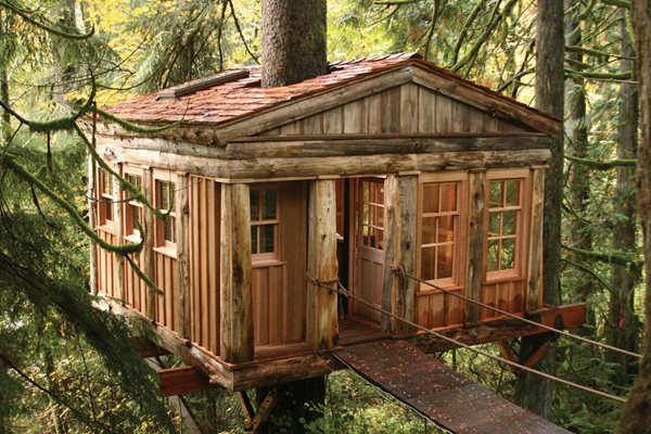  Treehouse Cabin Rentals